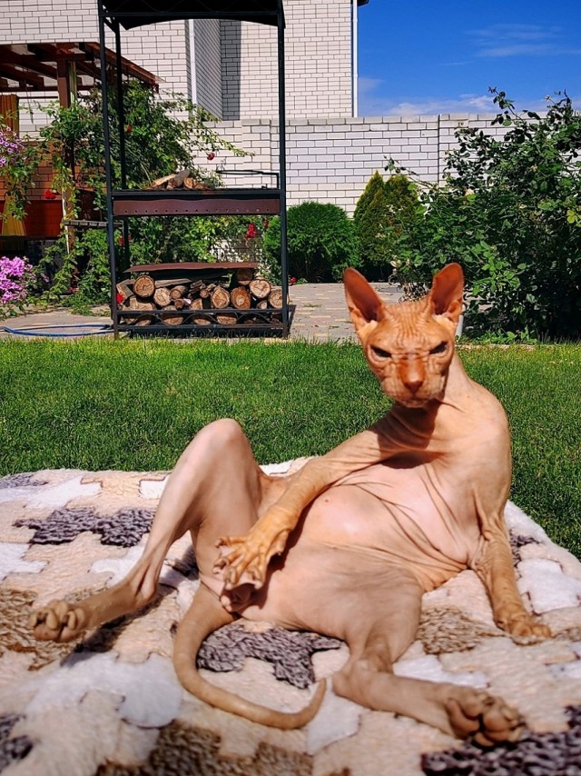 Я те щас сфоткаю!