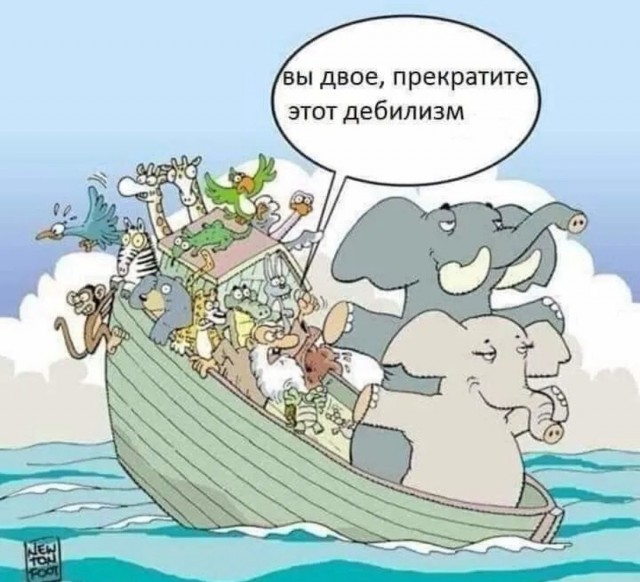 Так себе картинки 21.01.26