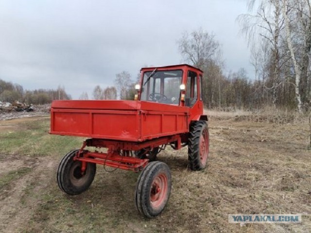 От "горбатого" до "бегемота". Или за что машины получают свои обидные клички?