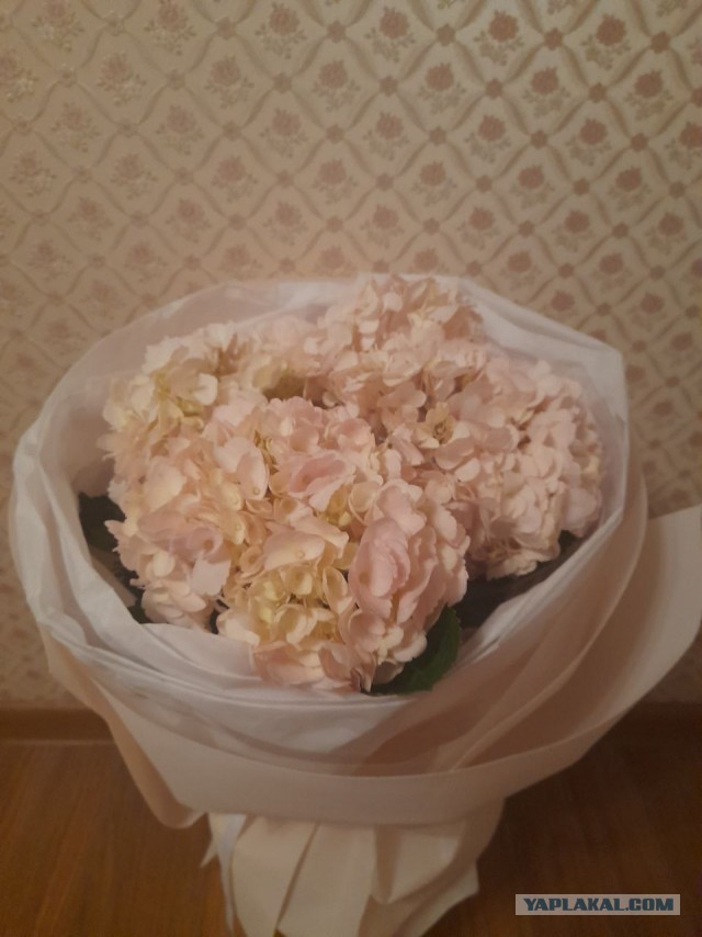 Не дать растаять Снегурчке. Нужна помощь всесильного Япа.