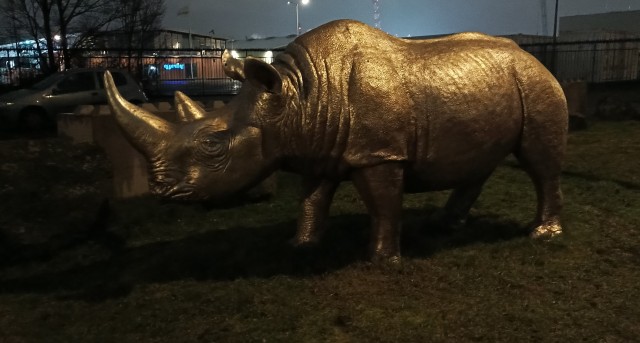 Прогулка по Амстердаму