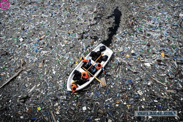 Метастазы Мексиканского залива