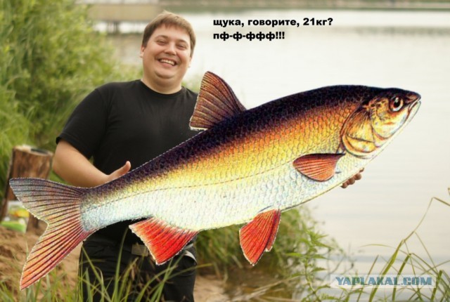 Путин поймал щуку весом 21 кг