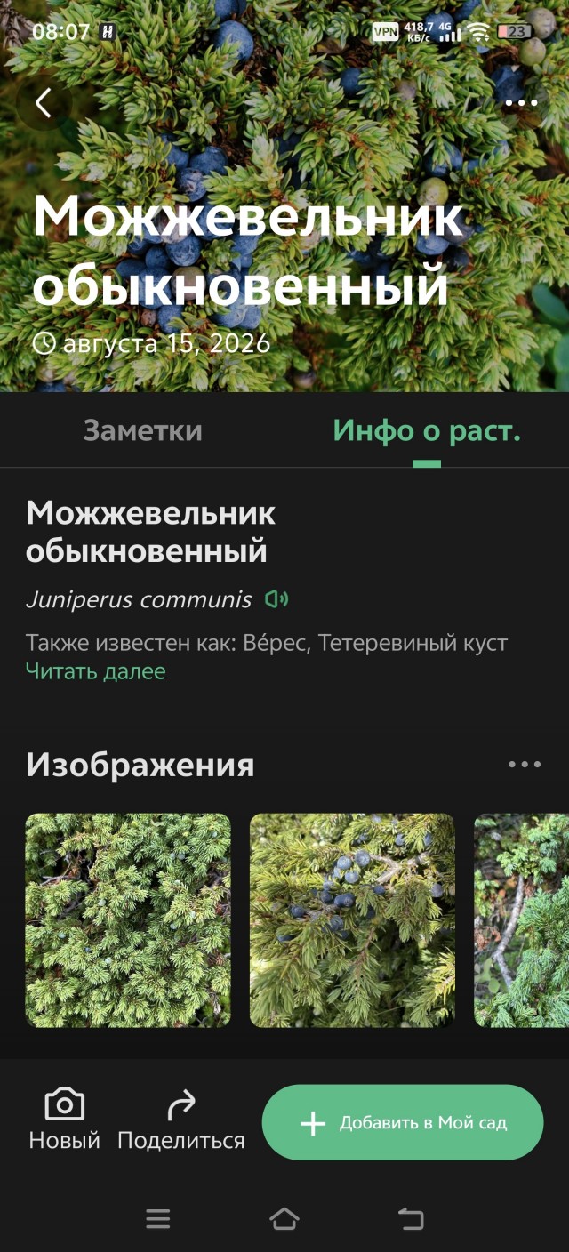 Сплав по Вишере от 71 квартала до Красновишерска. Часть 2.