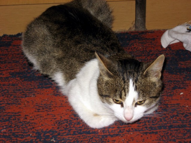 Поездка на Тамбовщину