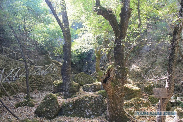 Родос - остров солнца