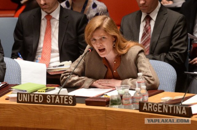 Саманта Пауэрс угрожала Виталию Чуркину