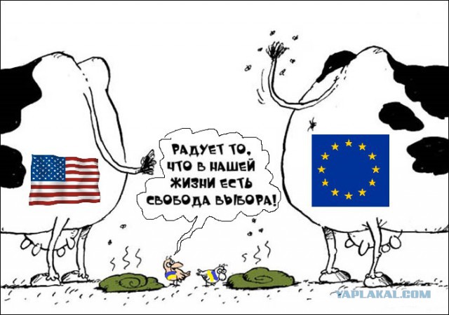 Небольшая подборка для улыбки!