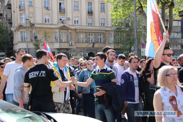 А в это время в Белграде