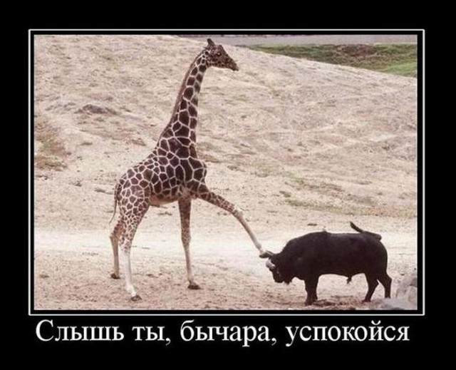 Демотиваторов пост
