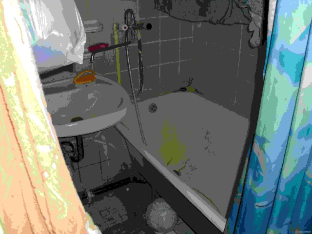 Дети-маугли в московской квартире.