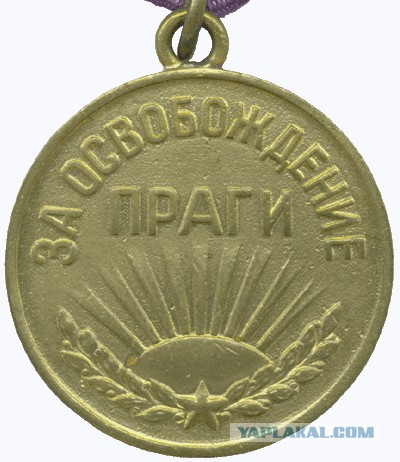 «У нас тут все волком воют: русские, вернитесь!»