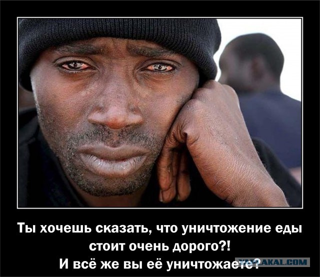 Немец заработал €56 млн. на сжигании санкционки