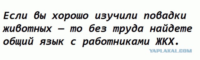 Немного картинок