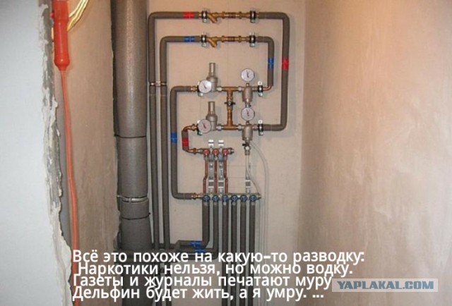 ЛСД  влияние на организм и сознание людей