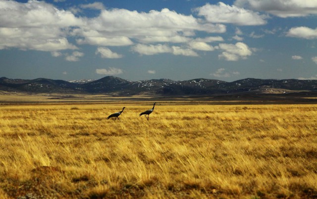 Как прекрасен и трагичен этот мир,   ч. 2