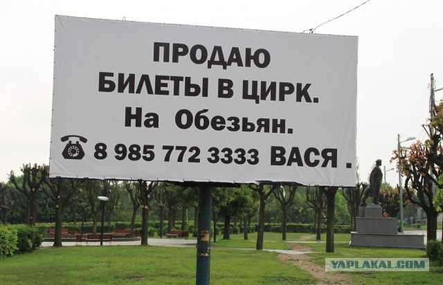 Подборка смешных, не очень и просто красивых фотографий