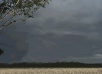 Фотожаба: Дареному слону..