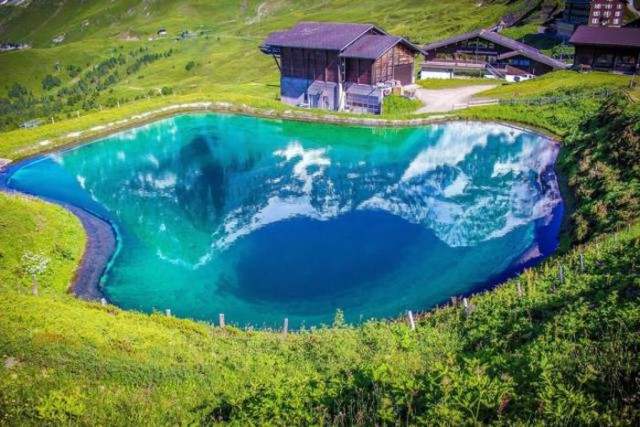 Подборка интересных и веселых фото