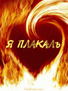 Обои для мобильных телефонов