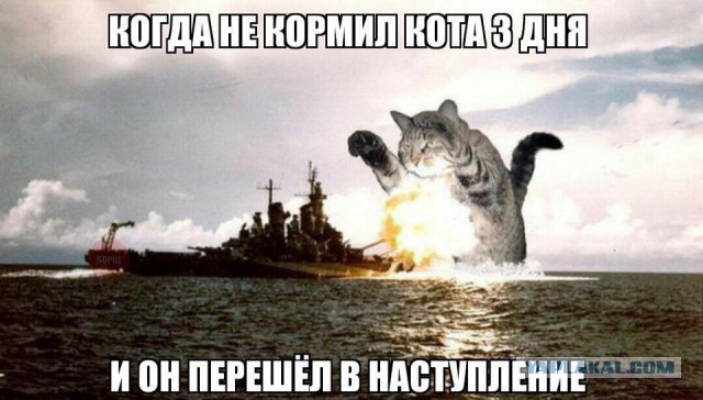 World of warships