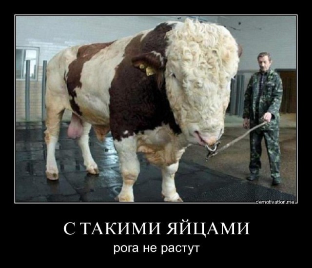 Подборка древних демотиваторов и картинок