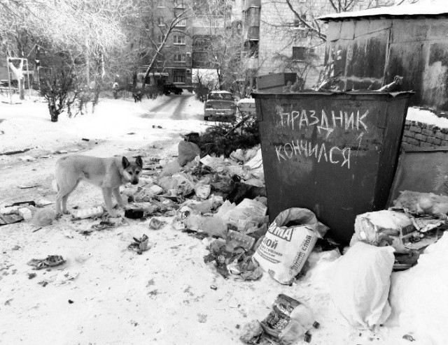 Весёлые картинки 13.01.2017