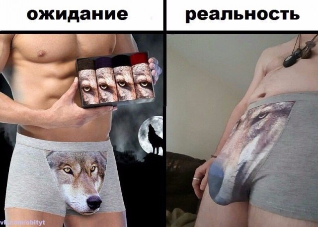 Подборка безудержного веселья