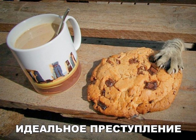 Картинки для поднятия настроения