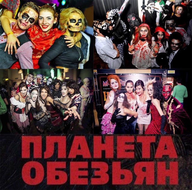 Скотсети и прочие интернеты