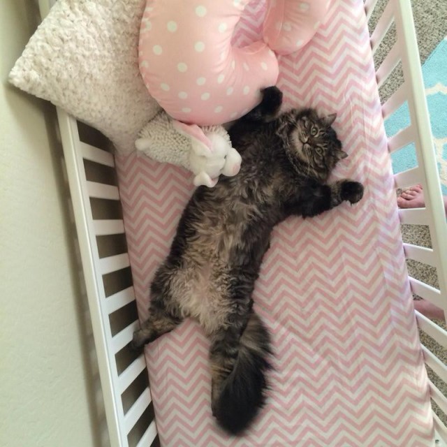 Котэ и кровать