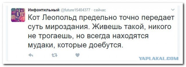 Пока нет Васька. Немного смешных коментов