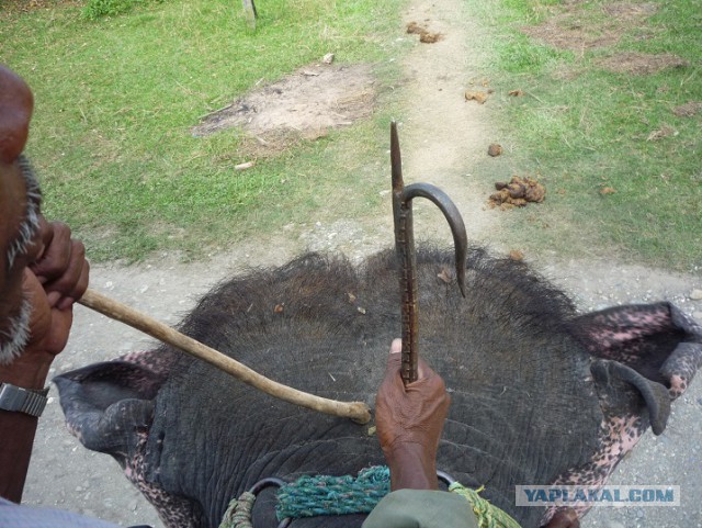 Лично мне не нужен берег турецкий