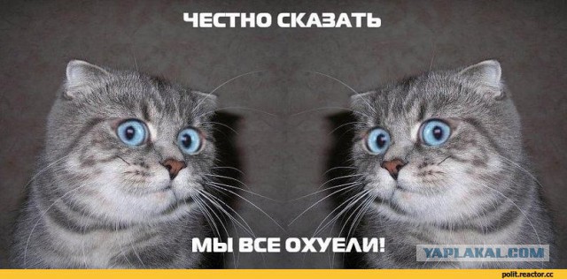 Нервный драчун