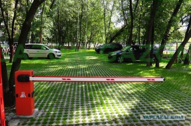 Парковочный вопрос всех испортил