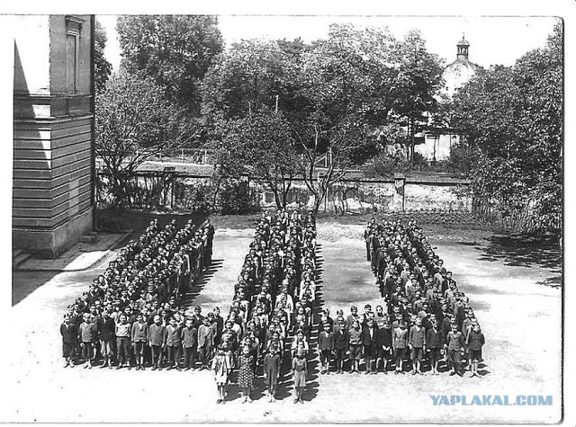 Польский поход РККА 1939 года в фотографиях