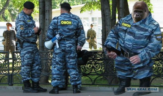 Очеловечивание