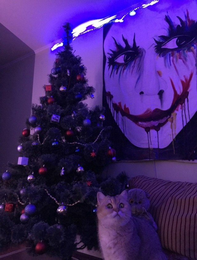 Немного милоты