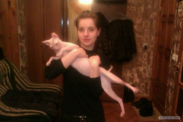 Котовторник (28.02.2012)
