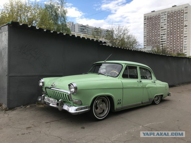 Вот такую красавицу встретил весенним днем