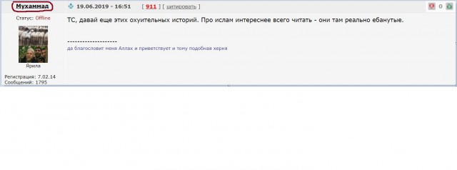 Немного о весёлой жизни среди мусульман