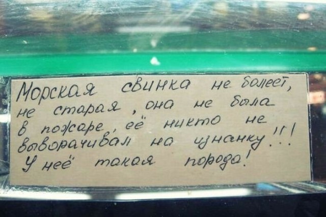 Пара-пара-пам! Фьють. Картинки с надписями. И без. 29.02.20
