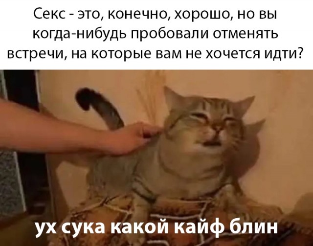 Забавные шутки, картинки и фразы из этих ваших интернетов