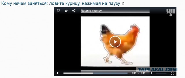 Кому нечем заняться: ловите курицу, нажимая на паузу