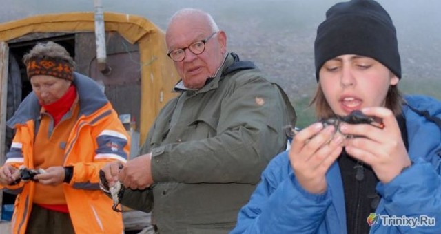 Неприятные продукты, которые едят на Западе