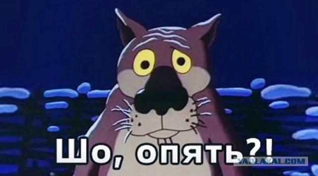 Моя история с РСП (сколько раз я обжёгся прежде чем понял всю суть)