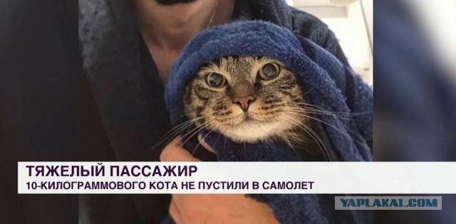 Время собирать камни