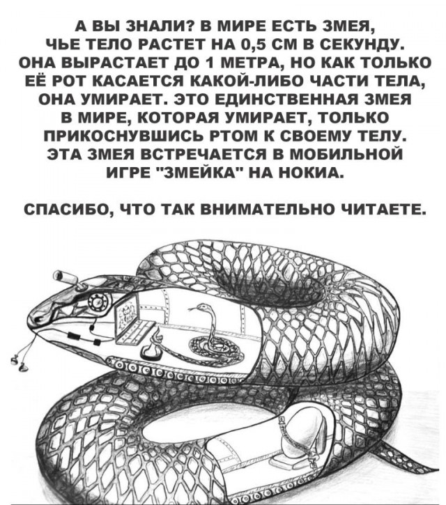Картинки и мемы для настроения 015