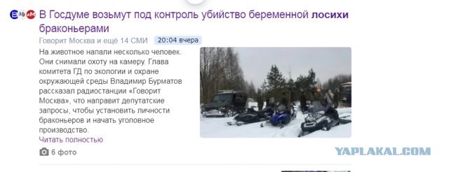 Тверские ушлёпки