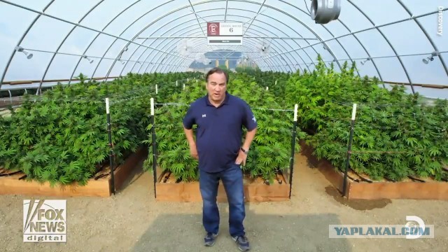 Как сейчас выглядят 12 актеров из боевиков 90-х, которые мы засматривали до дыр